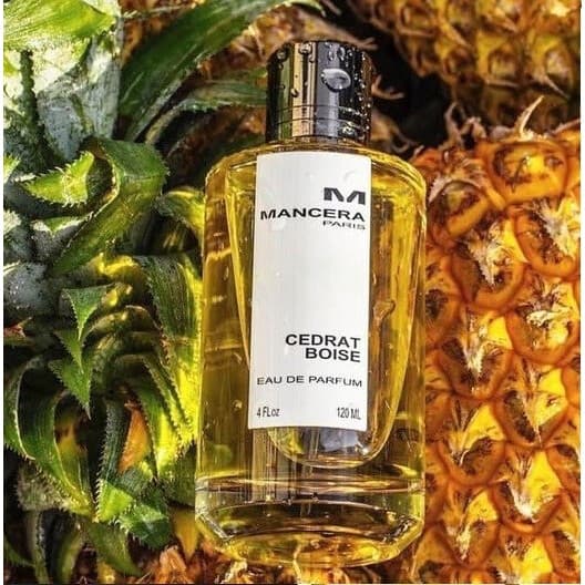 Cedrat Boise Mancera EDP Unisex 120ml (Original) — 1