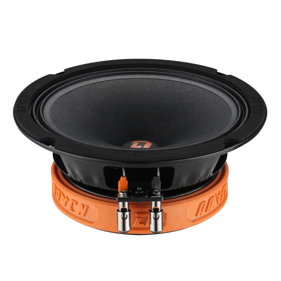 Akusticheskaya sistema DL Audio Raven 165 — 1