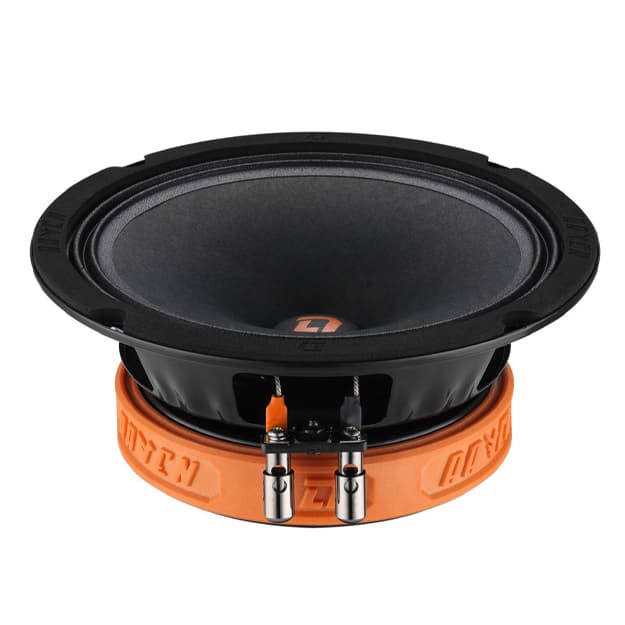 DL Audio Raven 165 — 1
