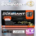 Avtomobil signalizatsiyasi Magicar Dominant 907 (Original)