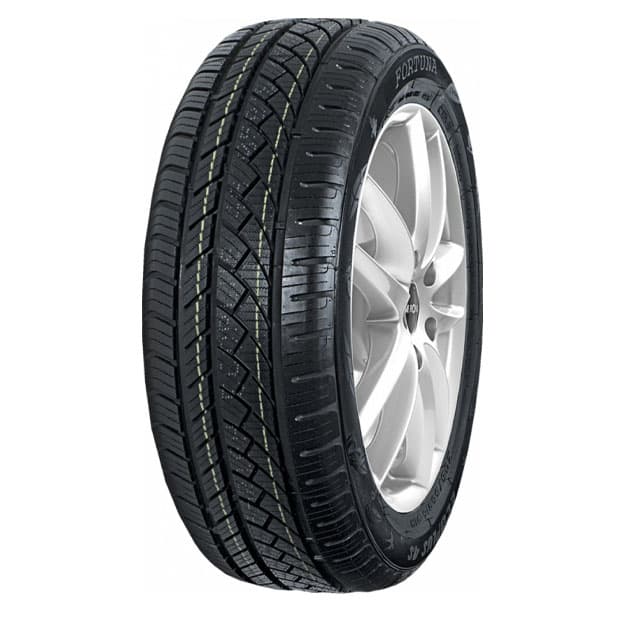FORTUNA ECOPLUS 2 205/50/17 tire — 1