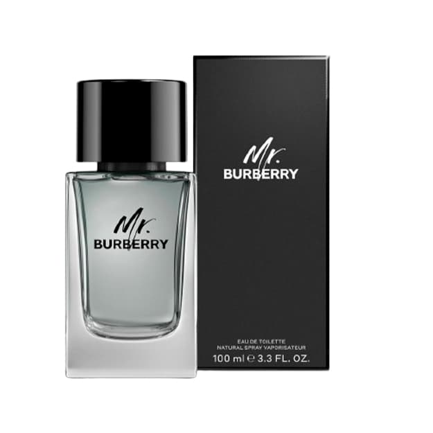 BURBERRY MR BURBERRY EDT 100ml — 1