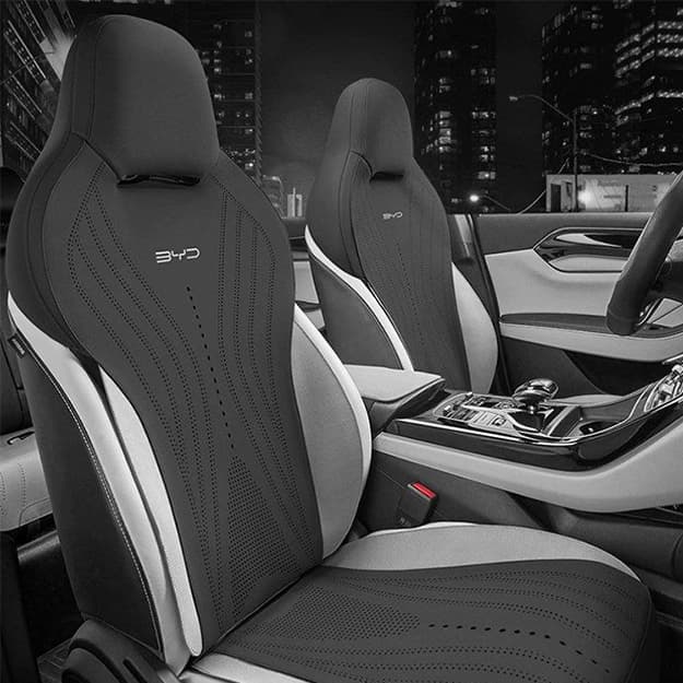 CHAZOR seat cover — 1