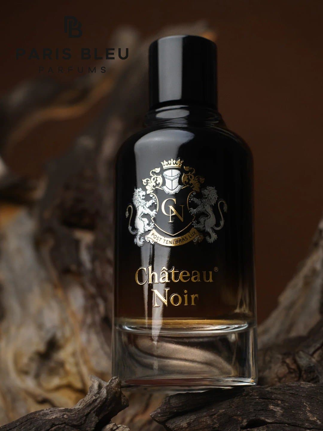 Erkaklar parfyumlangan suvi Paris Bleu Château Noir EDP 100 ml — 1