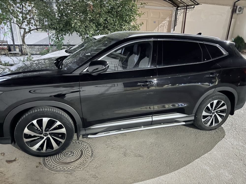 BVD chempion 2023 Rent car — 1
