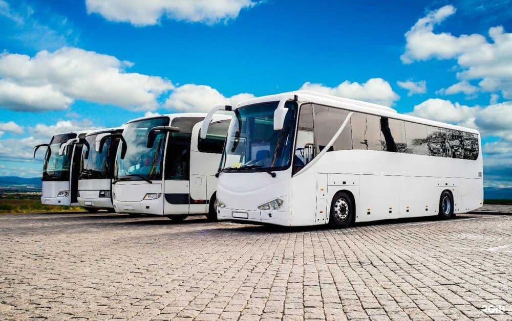 40-50 kishilik avtobus xizmati — 1