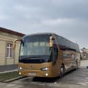 Mikro avtobus va Avtobus xizmati. Zakaz. Транспортные услуги