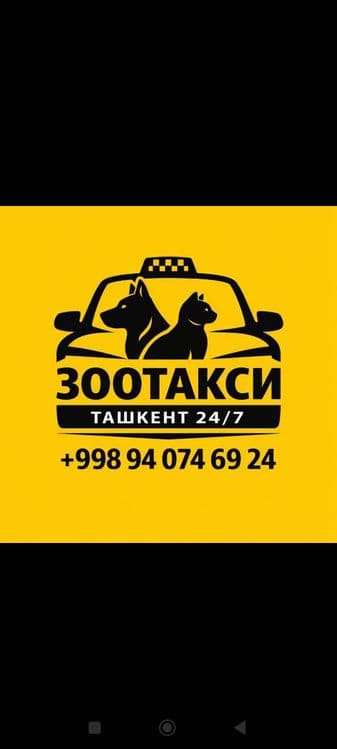 Зоотакси Ташкент 24/7 — 1