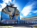 Однодневный тур в институт солнца и хвойный лес