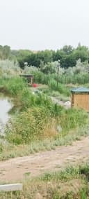 Рыбалка с огромной рыбой