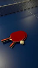 Tennis Stol | Теннисный стол "