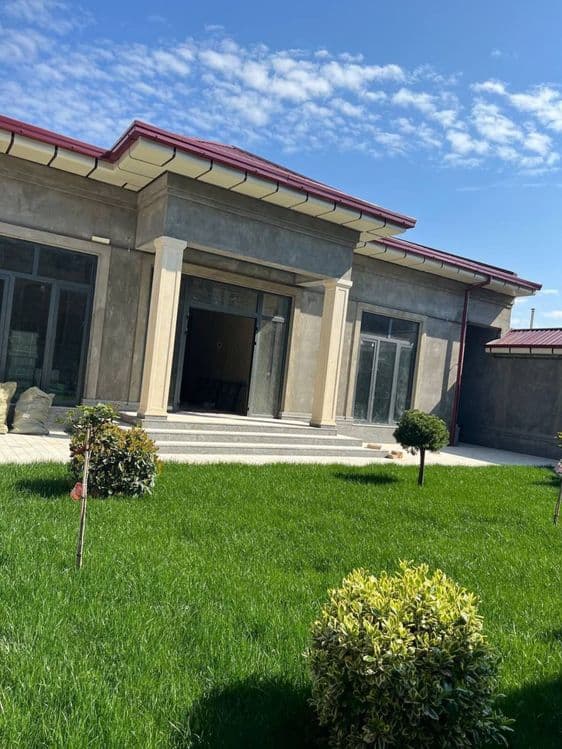 Tunikabond tunikafon xizmatlari — 1