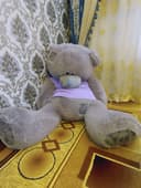 Tedy ayiq sifat zor narxi:500.000