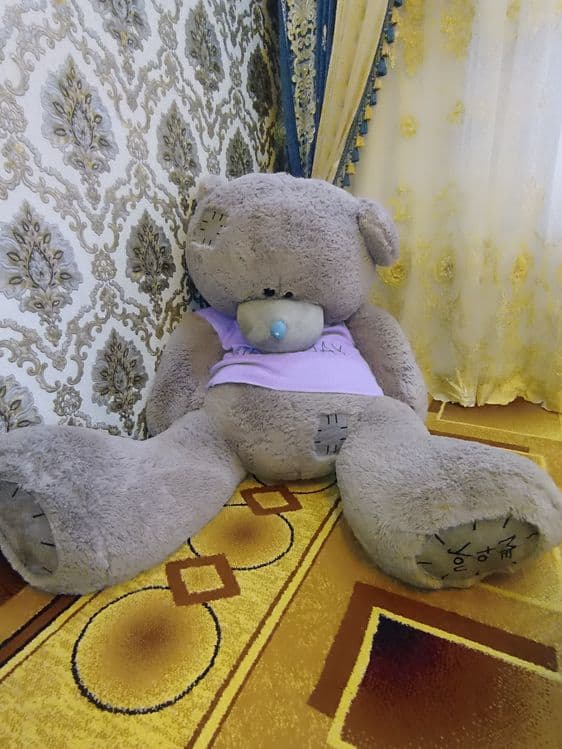 Tedy ayiq sifat zor narxi:500.000 — 1