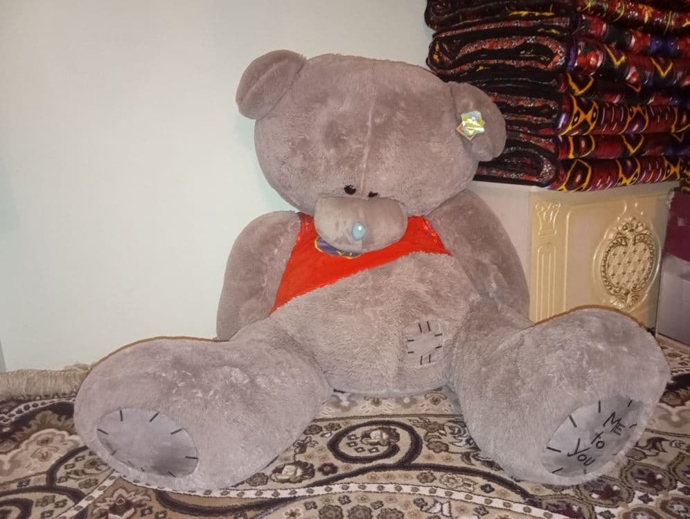 Teddiy ayiq sotiladi — 1