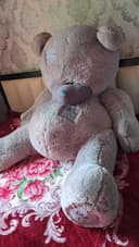Teddy ayigʻi 2.40sm