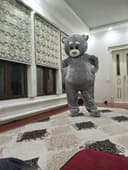 Ayiq Teddi multfilim qaxramonlari sotiladi