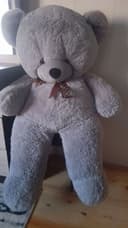 Teddy ayiqchasi sotiladi