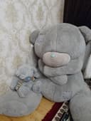 Teddi yumshoq uyinchoq
