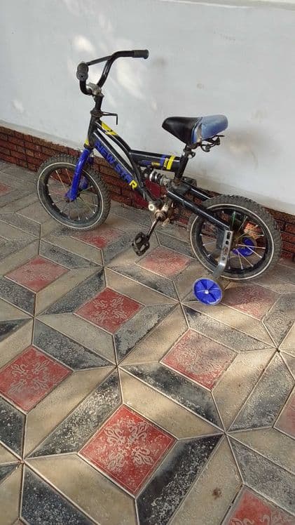 Bolalar velosapedi — 1