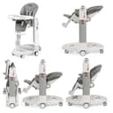 Стульчик для кормления Peg-Perego Tatamia Follow Me