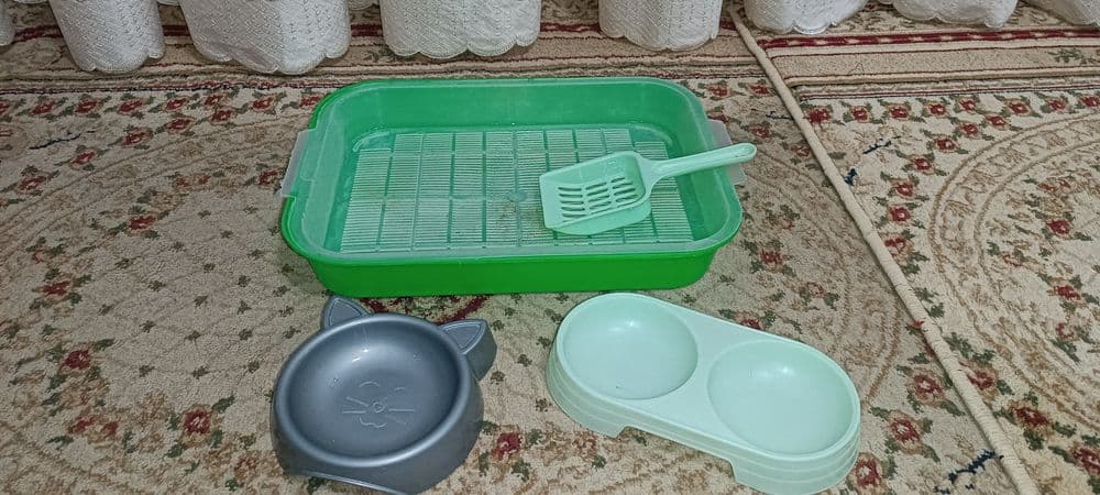 Посуды для кошки: 2 Миски, латок+лопатка, лежанка, расческа, ошейник — 1