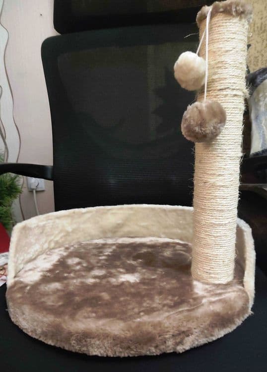Когтеточка для кошек — 1