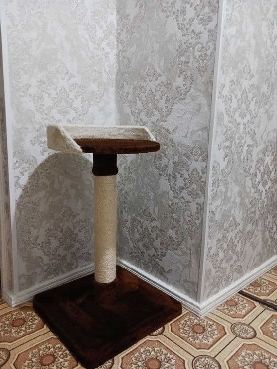 Когтеточка домик башня для кошек Mushuklar uchun — 1