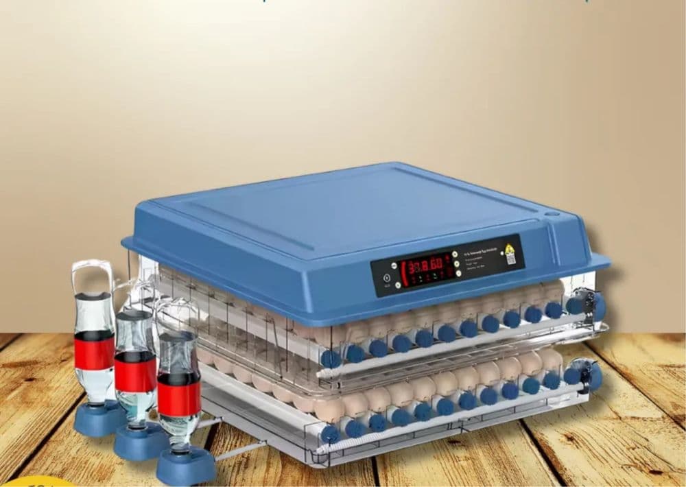 Inkubator avtomat 9/12/24/36/64/100/128/200, 12V va 220V dan ishlaydi — 1