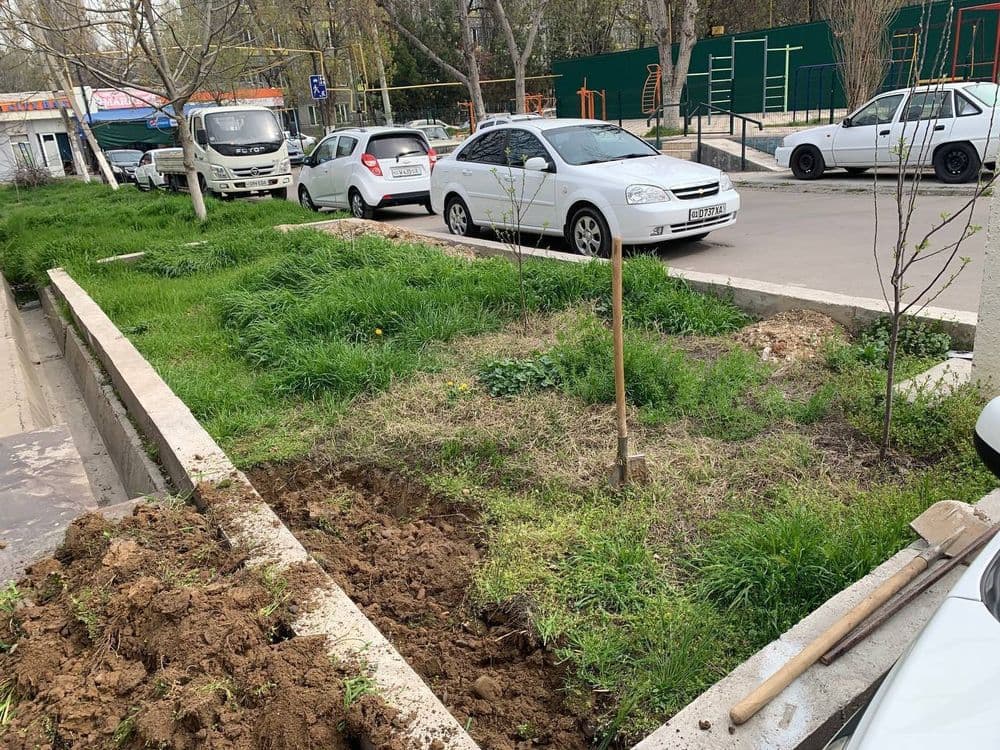 Gazon ekish xizmati — 1
