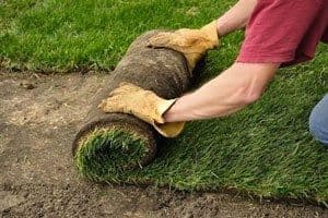 Готовые рулонные газоны. — 1