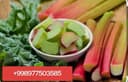 Равоч& Довча& Куксултон