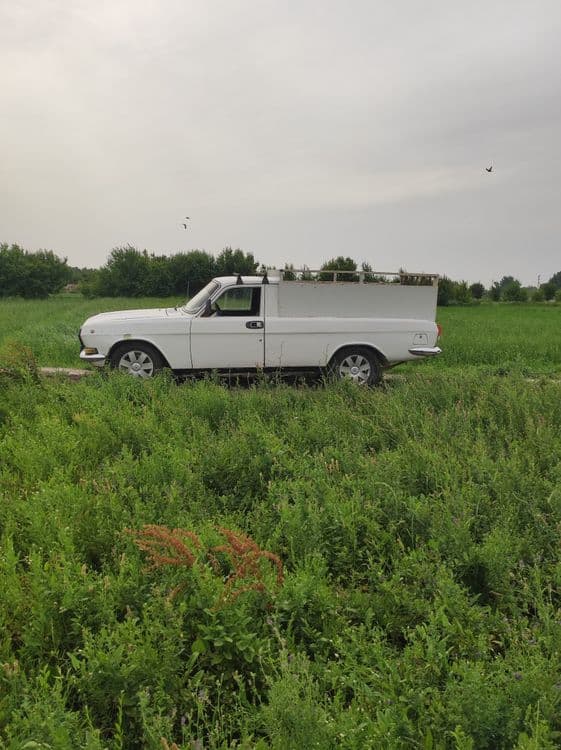 volga 2410 pikap — 1