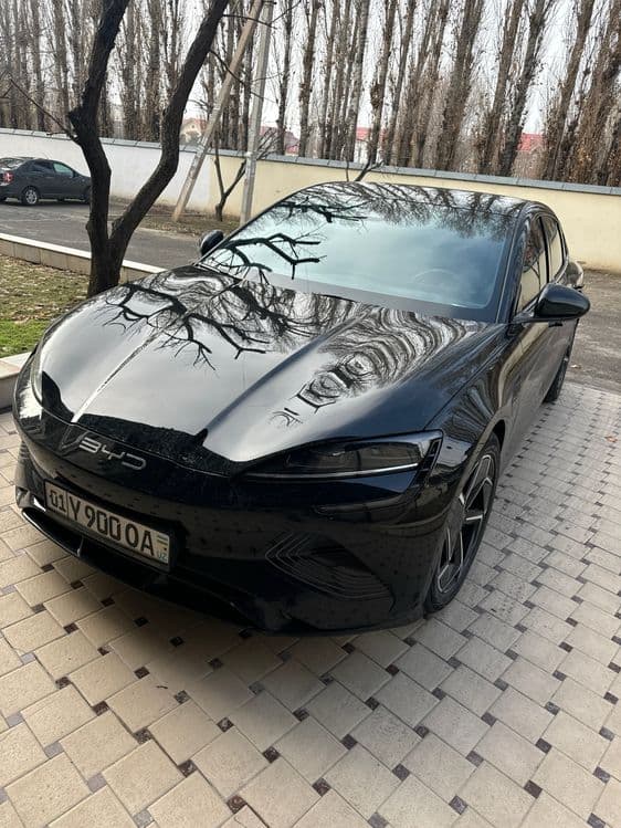 Byd seal 650Km Dual Motor 82kw battery — 1