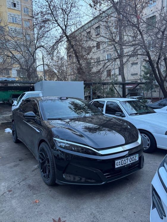 Byd han L 2025yil qora — 1