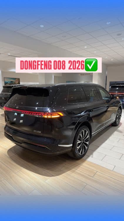 Dongfeng 008 Full 2026 Bonus bor — 1