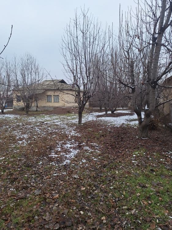 15 sotix uy ushaska sotiladi Kangly jambul — 1