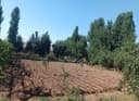 DACHA uchun yer SOTILADI srochna!!!