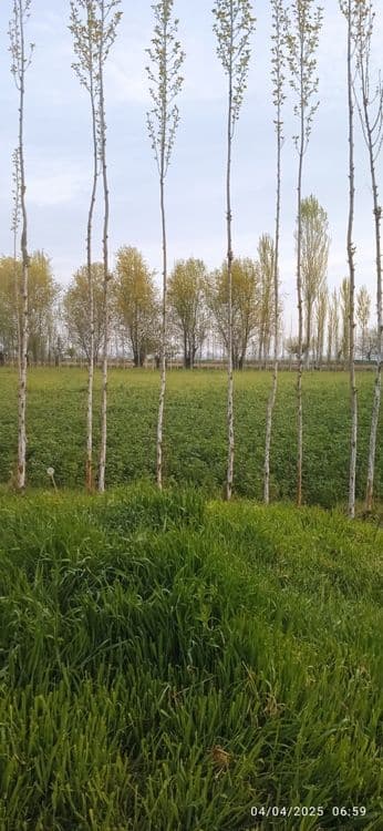 Ер учаска сотилади 9500 $ — 1