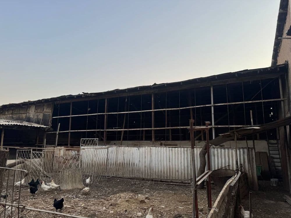 Gaz koʻchada pabedada yer sotiladi 8sot — 1