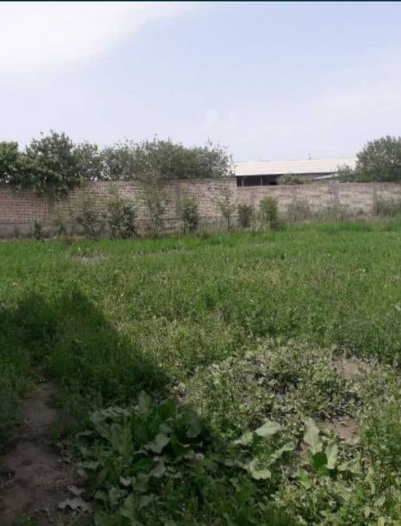 1/05 yer sotiladi Toshkent tumani — 1