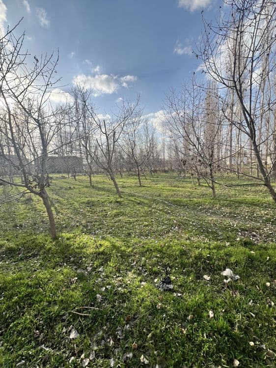Yangi ozbekiston, yangi toshkent 12 sotok uchastka sotiladi — 1