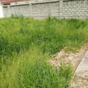 12 sotix uchastka sotiladi