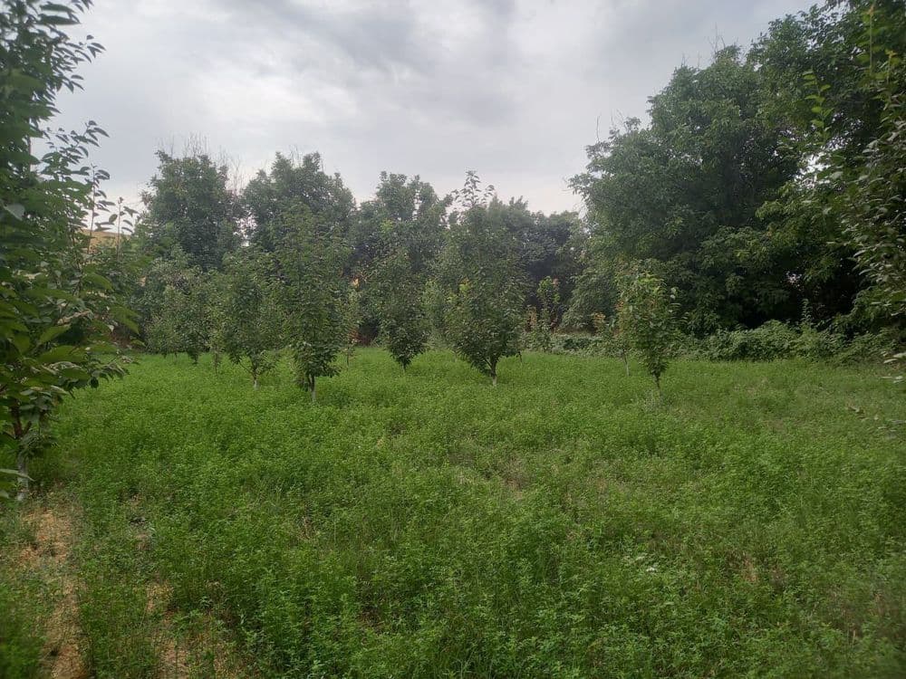Участок 20 соток — 1