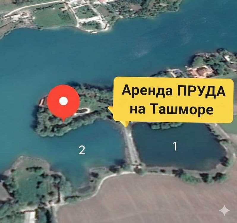Аренда пруда для рыбного промысла на Ташморе — 1