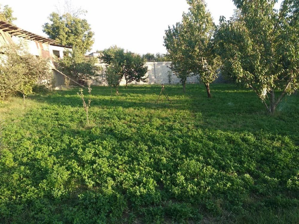 Участок Назарбек 13соток кадастр есть, сотка 9000$ газ свет вода. — 1