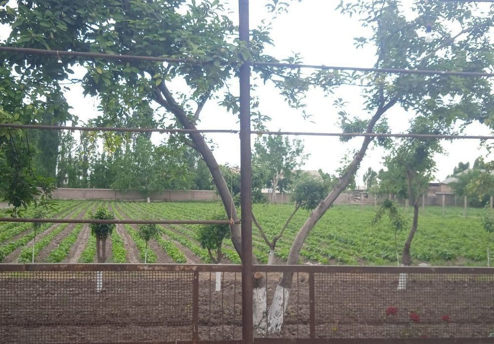 Hovli uy sotiladi — 1