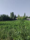 Xujjatlari joyida