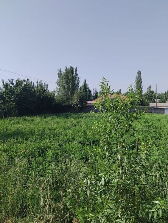 Xujjatlari joyida — 1