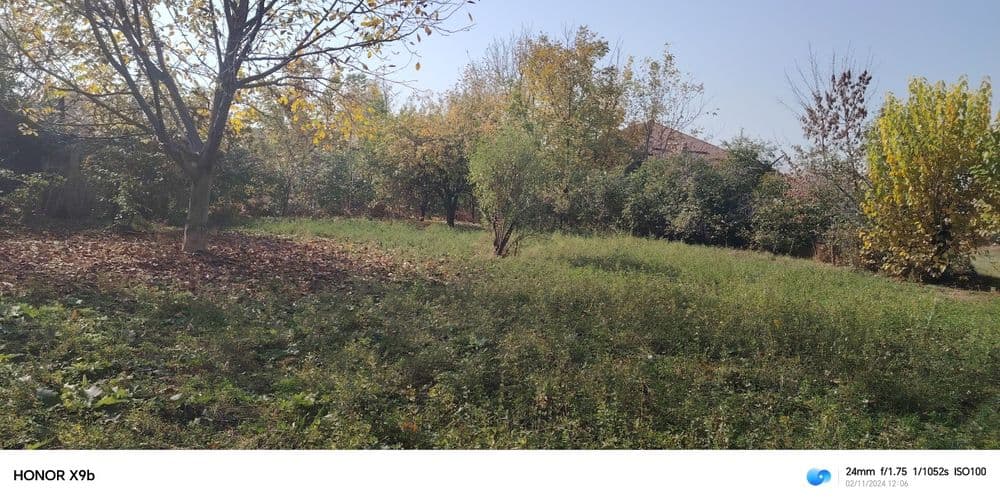 Gazalkent tumani — 1
